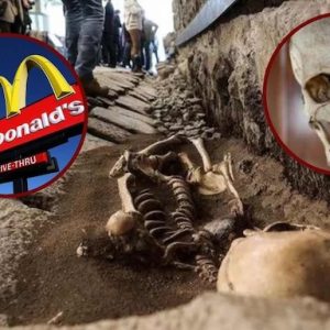 A Taste of History: The McDonald’s Where You Dine Above 2,000-Year-Old Skeletons