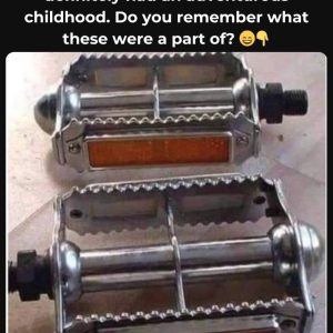 Do You Recognize This Essential? If You Do, You’ve Lived Through an Era When It Was Everywhere—Find Out Why It Was So Important!