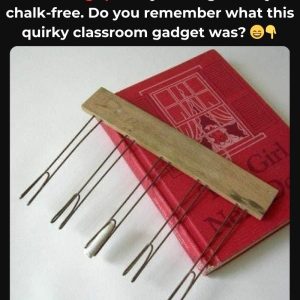 Do You Recall This Beloved Schoolroom Tool? If You Do, You’ve Seen Its Perfect Lines—Discover the Extraordinary Tale Behind Its Creation! 