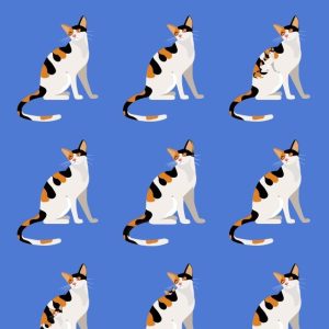 Which Cats Are Full-Sized and Which Are Kittens? Get the Correct Total! Which Cats Are Full-Sized and Which Are Kittens? Get the Correct Total!