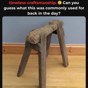 What Was This Tool’s Purpose? If You Can Tell, You’ve Seen A Simpler World—Dive Into The History That Made It Indispensable!