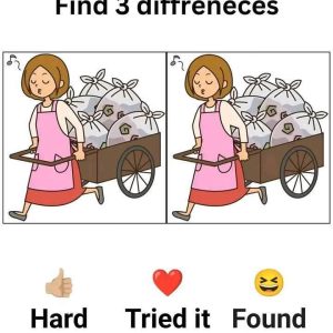 Spot the 3 Differences – The Woman with the Garbage Cart Puzzle Spot the 3 Differences – The Woman with the Garbage Cart Puzzle