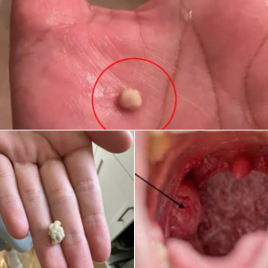 Here’s what you need to know