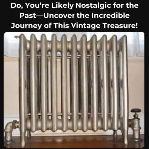 Do You Know What This Is? If You Do, You’re Likely Nostalgic for the Past—Uncover the Incredible Journey of This Vintage Treasure!