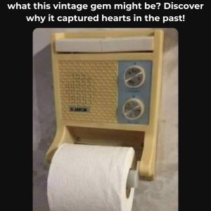 Have You Seen One of These Before? If You Have, You’re Likely Familiar With Its Charm—Find Out Why It Was So Loved in the Past!