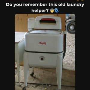 Can You Recall This Retro Household Marvel? If You Dipped Into Chores Back Then, You Know Its Hum—Uncover the Fascinating History That Made It Universal!