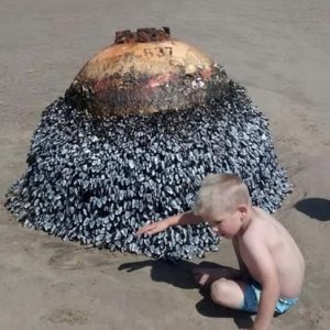 Dad Shares Innocent Photo Of His Son At Beach, Authorities Act Fast After Spotting Small Detail