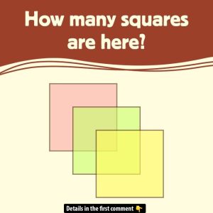 Can You Figure Out the Total Squares? Here’s the Answer! Can You Figure Out the Total Squares? Here’s the Answer!