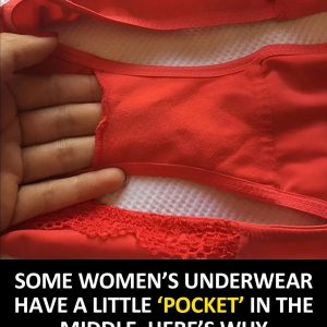 Why Do Some Women’s Underwear Have That Little ‘Pocket’ In The Middle?