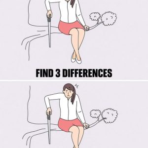 Only a genius could find all the differences between these two pictures Only a genius could find all the differences between these two pictures