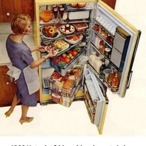Vintage Refrigerator Photos: A Fascinating Look at the Evolution of Cooling from the 1920s to the 1950s