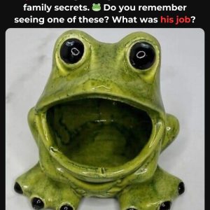 Did Your Family Have One of These? If You Recognize It, You’ve Lived Through a Golden Era – Find Out Why It Was Everywhere!