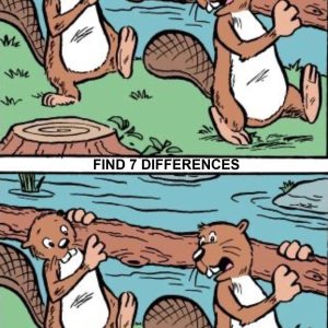 The Timeless Allure of Spot-the-Difference Puzzles The Timeless Allure of Spot-the-Difference Puzzles