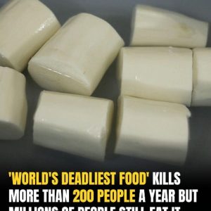 Over 200 People Are Killed By The “World’s Deadliest Food” Every Year, But Almost 500 Million People Still Eat It