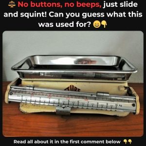 Do You Recall This Familiar Kitchen Item? If You Do, You Were Part of an Era When Cooking Meant Accuracy—Explore the Legacy of This Vintage Tool!