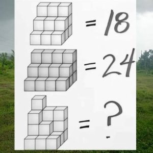 Can You Count All the Cubes? This Puzzle Will Blow Your Mind! Can You Count All the Cubes? This Puzzle Will Blow Your Mind!