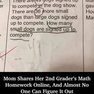Can You Solve This Second Grader’s Math Problem? The Answer Might Leave You Puzzled! Can You Solve This Second Grader’s Math Problem? The Answer Might Leave You Puzzled!