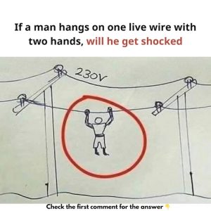 Why Don’t Birds Get Shocked on Power Lines? Can Humans Do the Same? Let’s Break It Down!