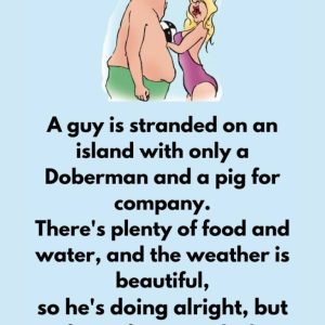 A guy is stranded on an island with only a Doberman and a pig for company A guy is stranded on an island with only a Doberman and a pig for company