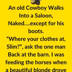 A Naked Cowboy Walks Into a Bar…