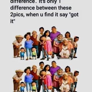 Think You’re a Puzzle Pro? Test Your Skills by Spotting the Hidden Difference! Think You’re a Puzzle Pro? Test Your Skills by Spotting the Hidden Difference!