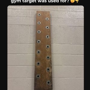 Do You Recall This Standard Gymnasium Drill? If You Ever Tested Your Grip On Those Pegs, You’ll Be Flooded With Fond Memories; Learn The Astonishing Origin Of Its Design