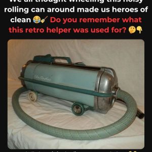 Do You Remember This Unique Domestic Hero? If You Once Counted On Its Reliability, You’ll Feel That Warm Glow; Learn About The Surprising Origins That Defined Its Era Do You Remember This Unique Domestic Hero? If You Once Counted On Its Reliability, You’ll Feel That Warm Glow; Learn About The Surprising Origins That Defined Its Era