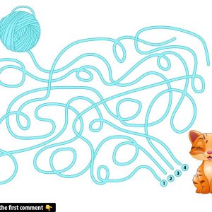 Maze Masters Wanted: Trace the True Connection! Maze Masters Wanted: Trace the True Connection!