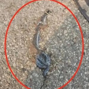 When Nature Comes Knocking