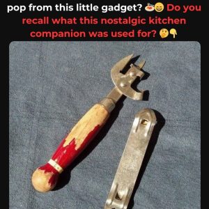 Do You Remember The Small Tool That Made Every Meal Possible? If You’ve Cherished Its Subtle Power, You’ve Lived A Shared Ritual—Uncover Its Surprising Backstory Now Do You Remember The Small Tool That Made Every Meal Possible? If You’ve Cherished Its Subtle Power, You’ve Lived A Shared Ritual—Uncover Its Surprising Backstory Now