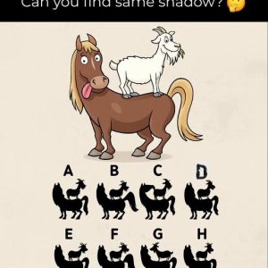 Can You Spot the Real Shadow? This Mind-Bending Puzzle Might Fool You Can You Spot the Real Shadow? This Mind-Bending Puzzle Might Fool You