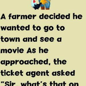 A Day at the Movies… With a Rooster?!