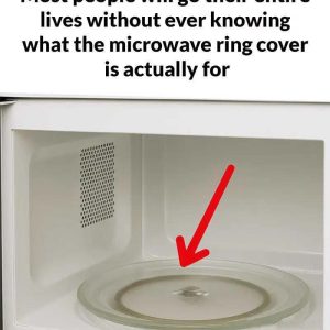 Microwave Mystery Solved: The Hidden Role of the Ring Cover You’ve Probably Overlooked