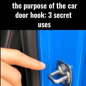 You’ve Seen This in Every Car… But Do You Actually Know What It’s For?