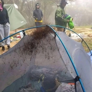 “Sleep Outside, They Said… It’ll Be Fun,” They Said…