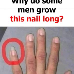 What Does a Long Pinky Nail Really Mean? Exploring Its Surprising Cultural, Social, and Practical Roots