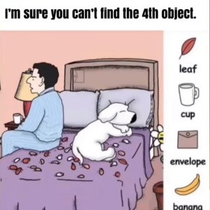 Find the Hidden Objects: How a Leaf, Cup, Envelope, and Banana Can Train Your Brain Find the Hidden Objects: How a Leaf, Cup, Envelope, and Banana Can Train Your Brain