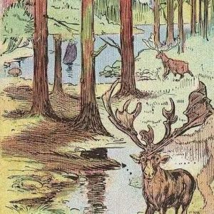 There is a Great Danger! Sat All Day Still Cannot Find the Hunter. Can You Find Him? There is a Great Danger! Sat All Day Still Cannot Find the Hunter. Can You Find Him?
