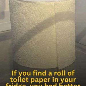 Why People Are Putting Toilet Paper in the Fridge — And Why You Might Want to Try It Too