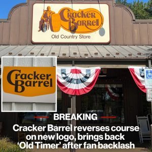 They Tried Something New… And Instantly Regretted It