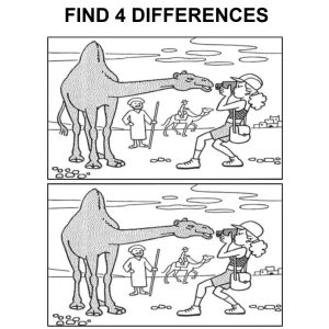 Spot the Difference: A Fun Brain Teaser with Camels and Cameras Spot the Difference: A Fun Brain Teaser with Camels and Cameras