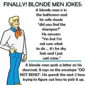 5 blonde male jokes