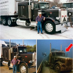 The Mystery That Took 20 Years to Finally Unravel