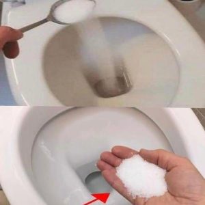 Put salt in your toilet. Here’s why. This is something plumbers will never tell you