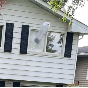 What is this thing? Looks like an inflated plastic bag sticking out of the window of one of the houses on my street