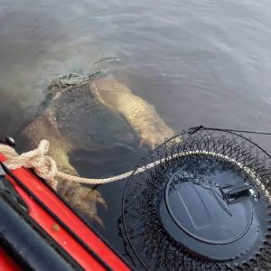 River ‘monster’ with enormous ‘bear-like’ claws terrifies mother and daughter