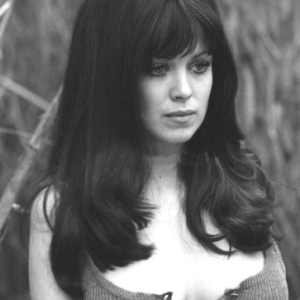 The Stunning Screen Siren Who Stole Hollywood’s Heart. Can you guess who she is? The Stunning Screen Siren Who Stole Hollywood’s Heart. Can you guess who she is?
