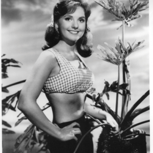 The Sweetheart of the ‘60s That Every Man Adored! The Sweetheart of the ‘60s That Every Man Adored!