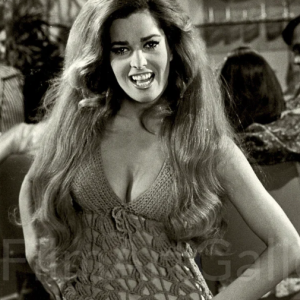 The Smoldering Playboy Icon Who Defined Bold Beauty in the Sixties The Smoldering Playboy Icon Who Defined Bold Beauty in the Sixties