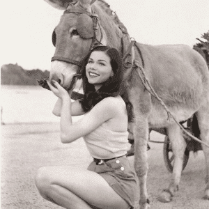 The Enigmatic Beauty Who Captivated 1950s Cinema And Reinvented Herself Again And Again